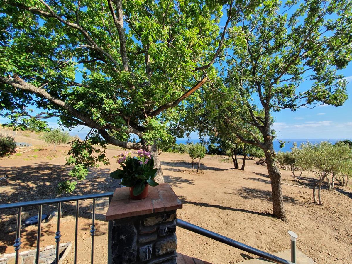 Agriturismo Le Terre di Veneré Acciaroli Extérieur photo