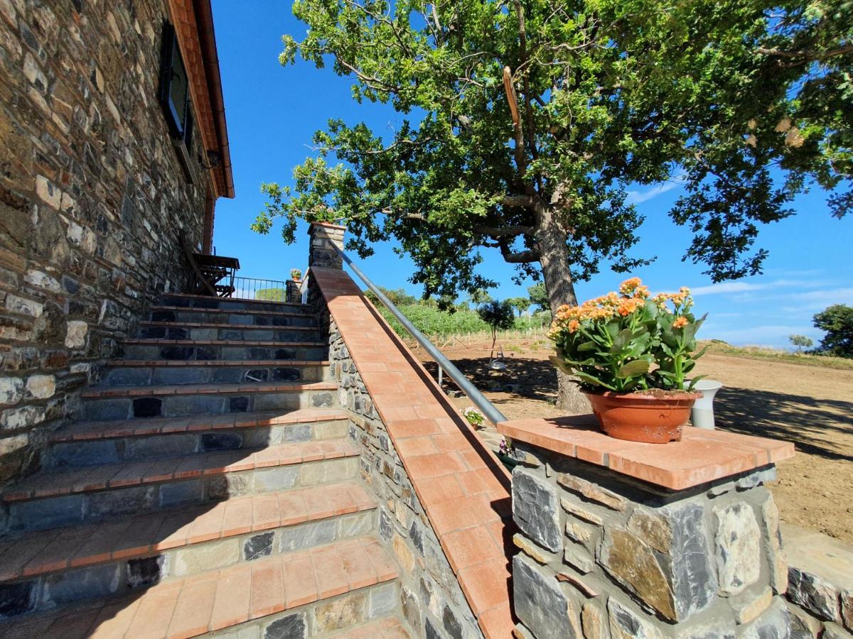 Agriturismo Le Terre di Veneré Acciaroli Extérieur photo