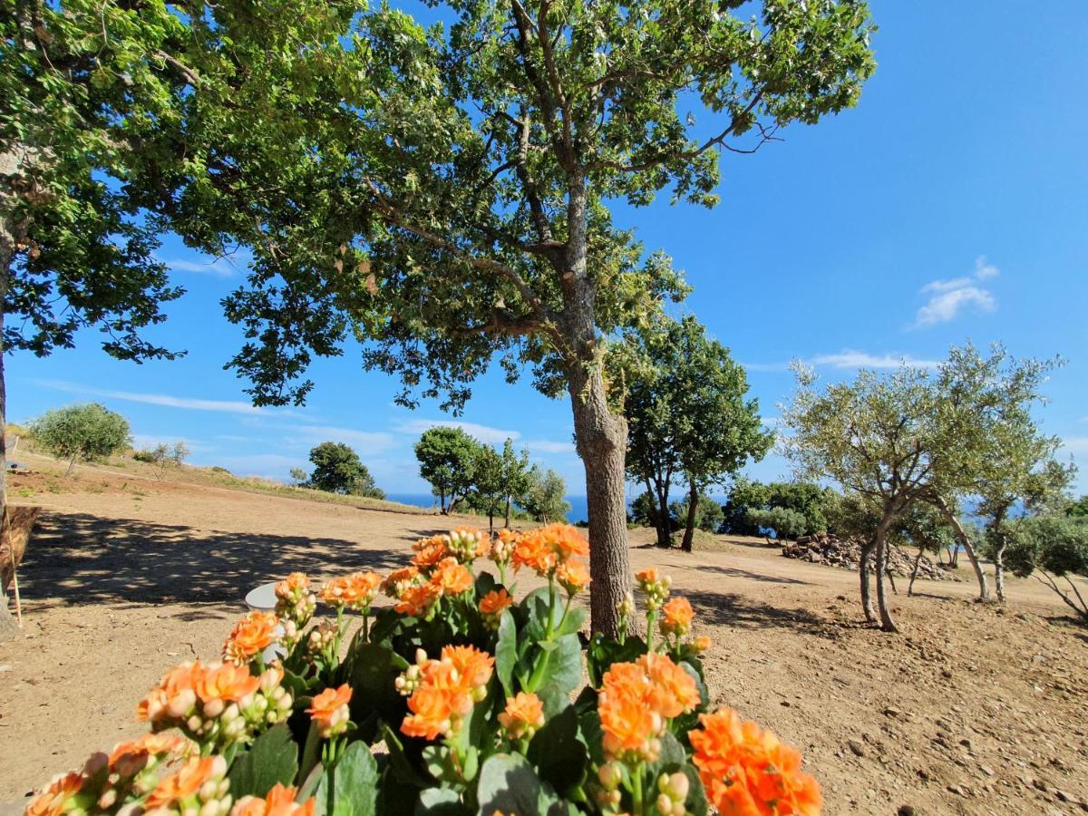 Agriturismo Le Terre di Veneré Acciaroli Extérieur photo