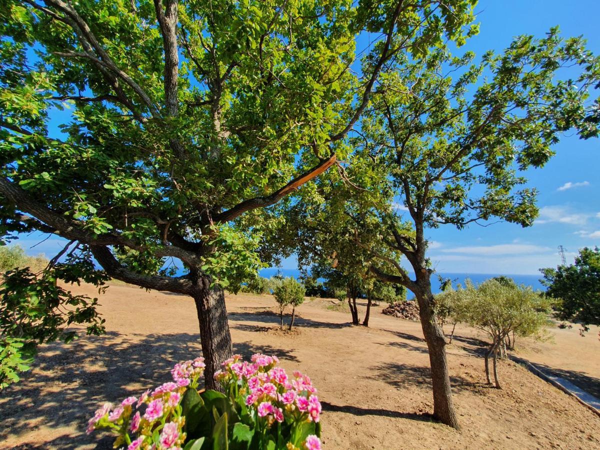 Agriturismo Le Terre di Veneré Acciaroli Extérieur photo