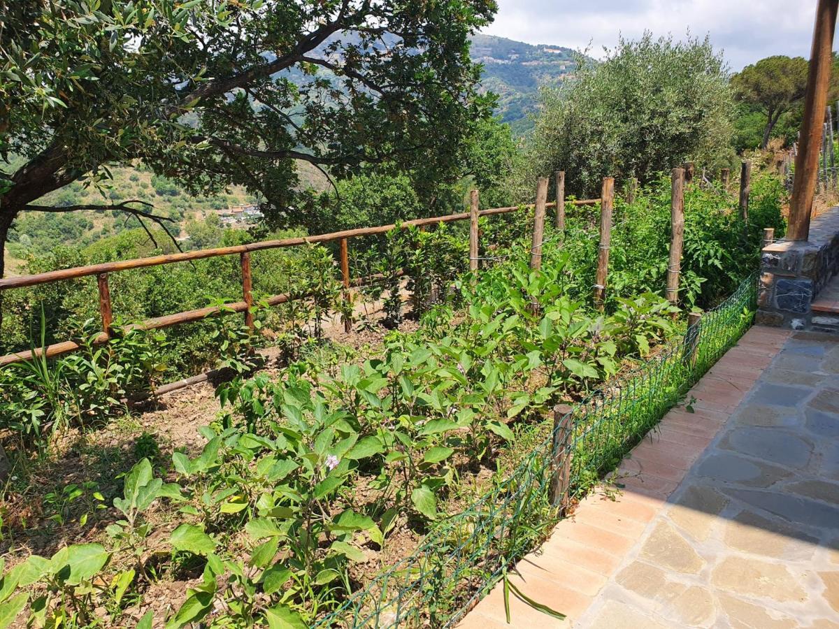 Agriturismo Le Terre di Veneré Acciaroli Extérieur photo