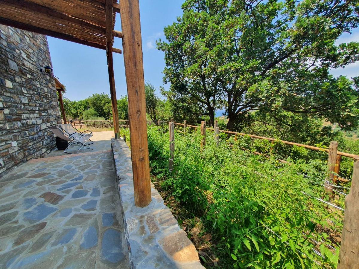 Agriturismo Le Terre di Veneré Acciaroli Extérieur photo