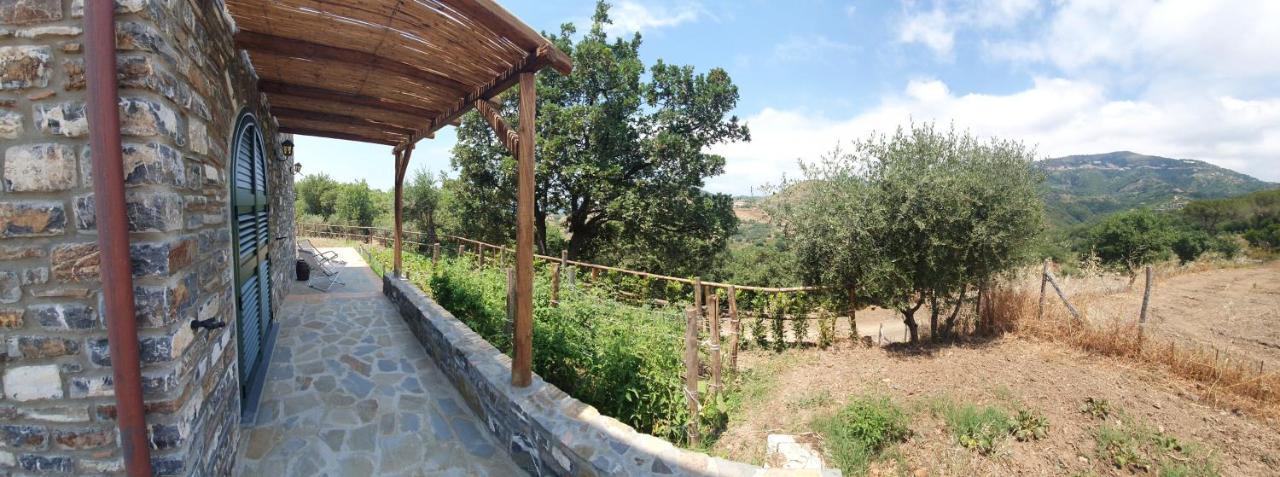 Agriturismo Le Terre di Veneré Acciaroli Extérieur photo