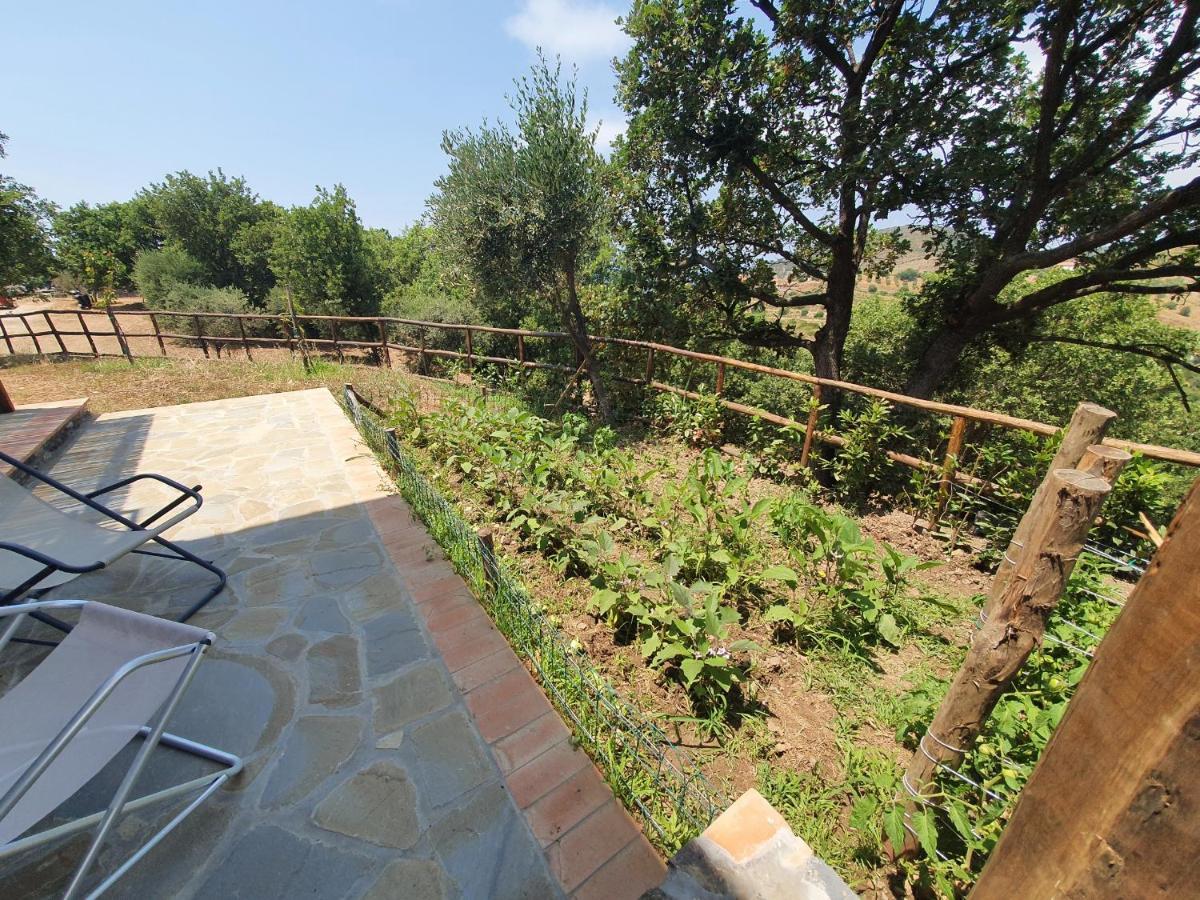 Agriturismo Le Terre di Veneré Acciaroli Extérieur photo