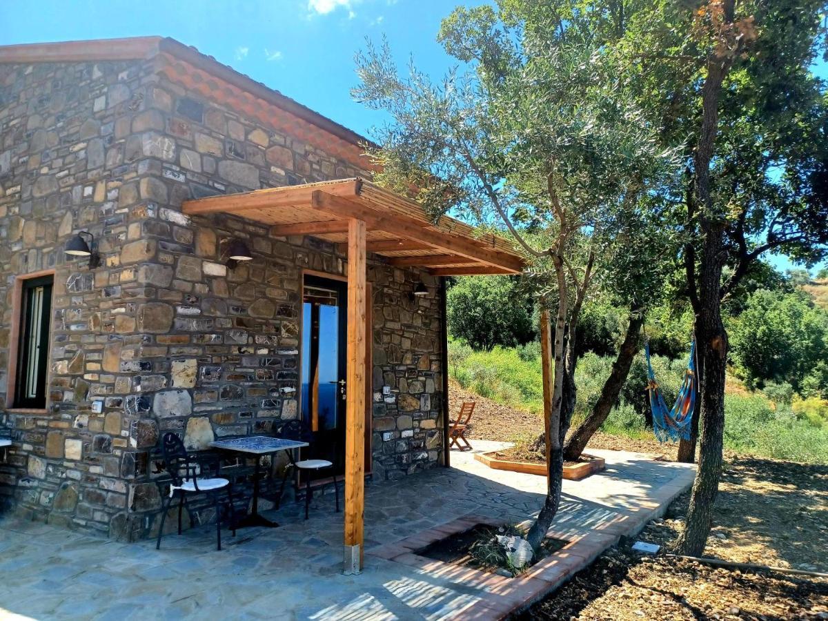 Agriturismo Le Terre di Veneré Acciaroli Extérieur photo