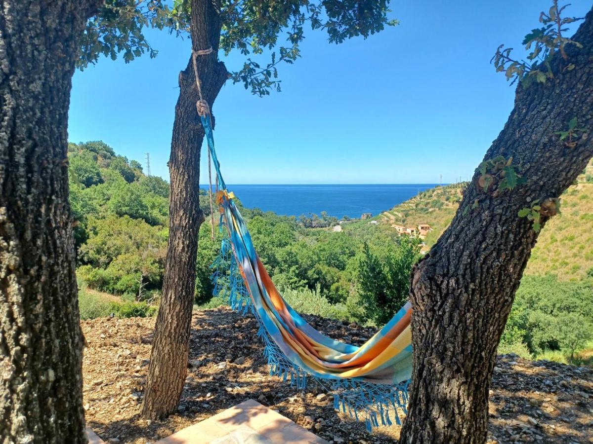 Agriturismo Le Terre di Veneré Acciaroli Extérieur photo