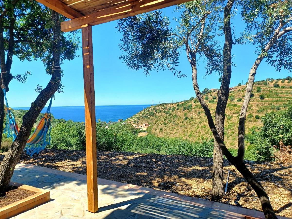 Agriturismo Le Terre di Veneré Acciaroli Extérieur photo