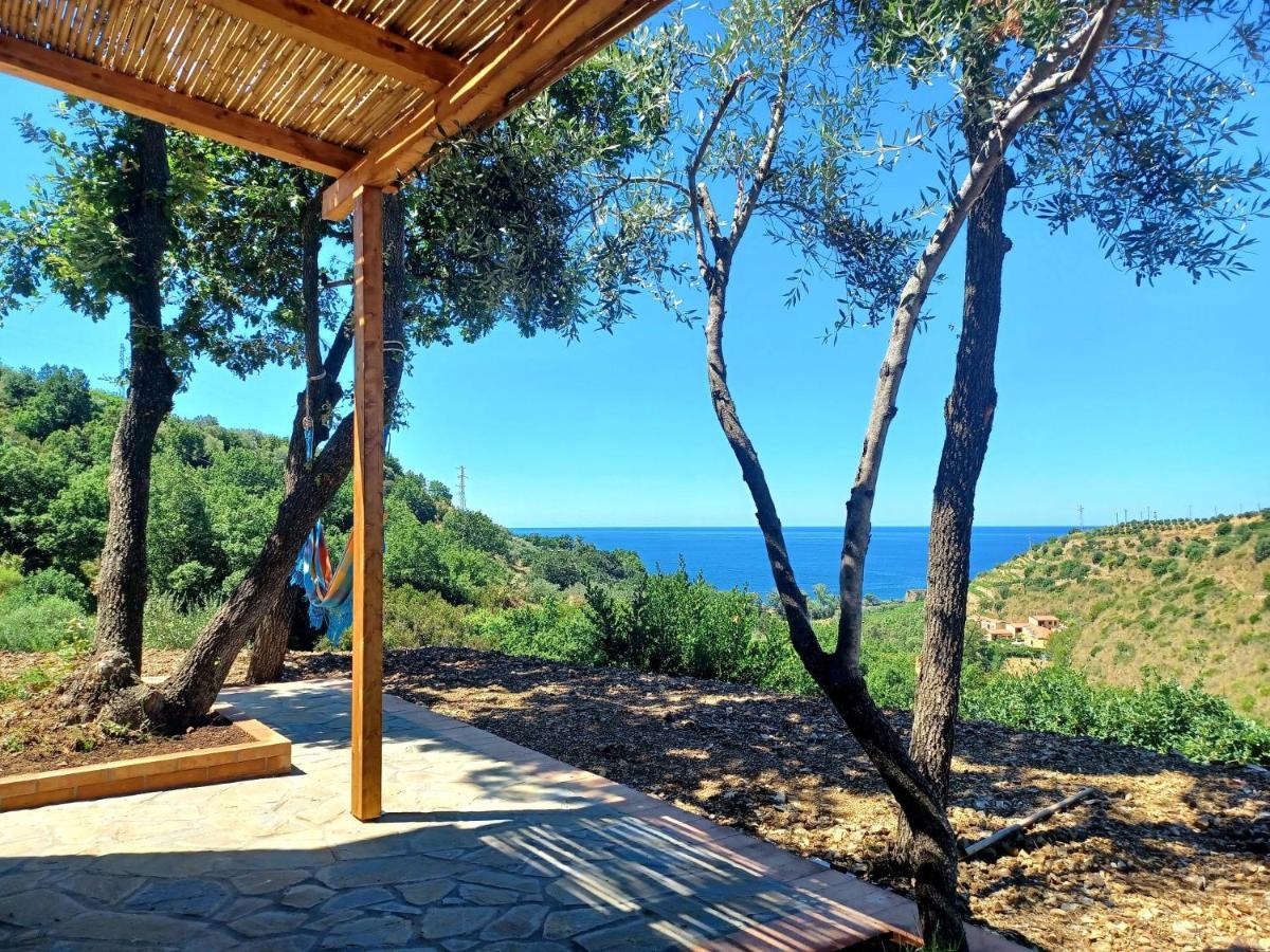 Agriturismo Le Terre di Veneré Acciaroli Extérieur photo